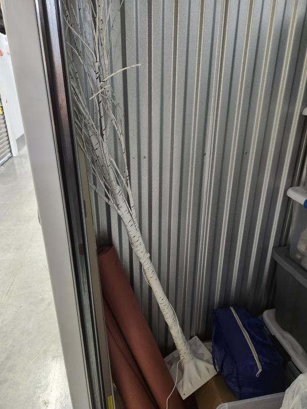 Storage Unit Auction in New Orleans, LA at Safeguard Self Storage NEW